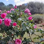 Castell Rose Bed & Breakfast 4*