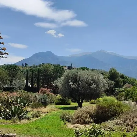 Castell Rose Bed & Breakfast 4*