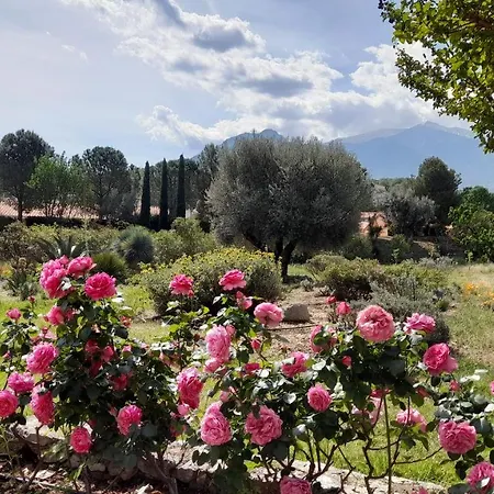 Bed & Breakfast Castell Rose Prades (Pyrenees-Orientales)