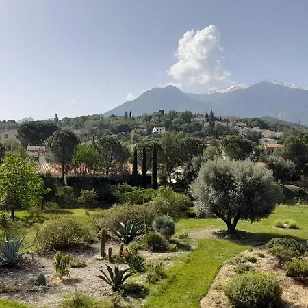 Castell Rose Panzió